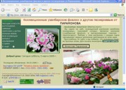 http://www.violet-slava.ru 